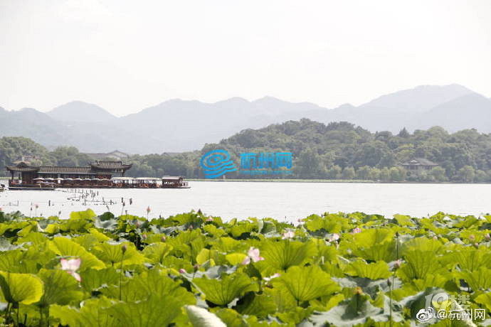 杭州西湖观光环湖夜游车来啦!招手即停上车买票
