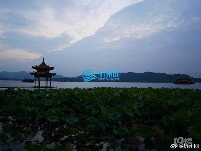 杭州西湖观光环湖夜游车来啦!招手即停上车买票
