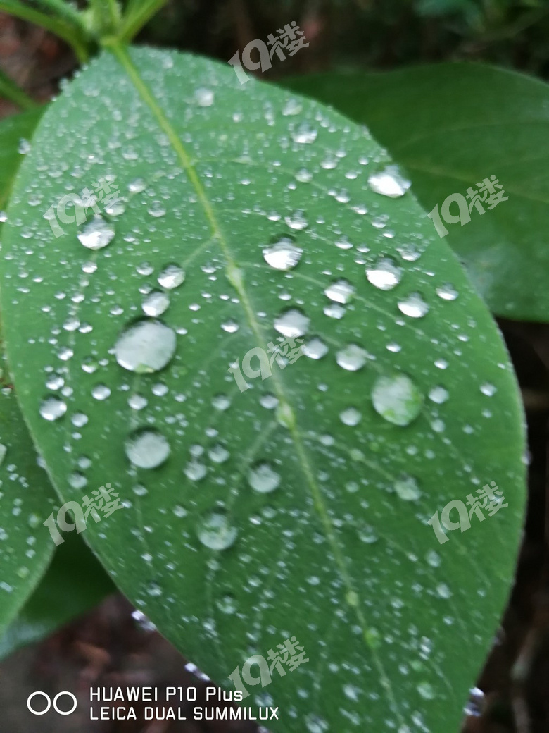 细雨蒙蒙的傍晚