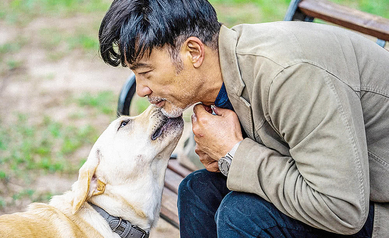 《小Q》融化内心坚冰,人宠温情大片传递陪伴的