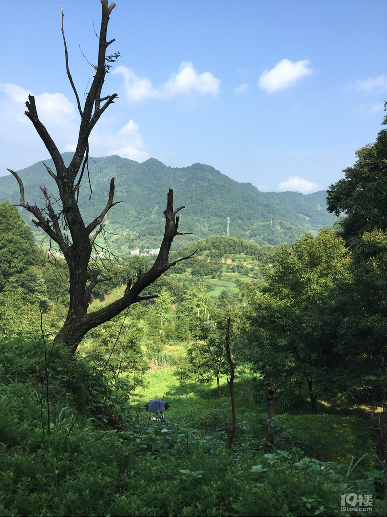 走進(jìn)績(jī)溪過(guò)暑假
