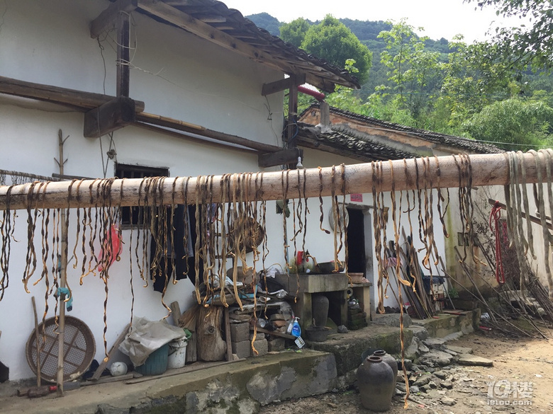 走進(jìn)績(jī)溪過(guò)暑假
