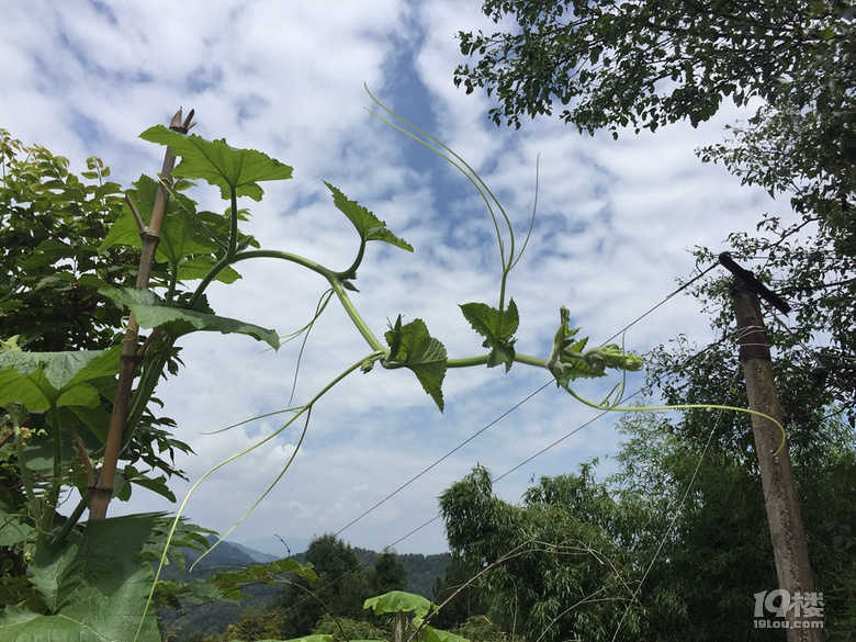 走進(jìn)績(jī)溪過(guò)暑假