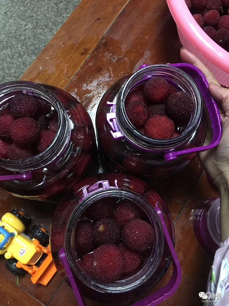 夏天来了,我要做个酒鬼,不过这酒可不是一般的酒.