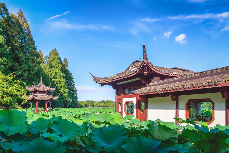 曲院风荷--蓝天白云-风景照-19摄区-杭州19楼