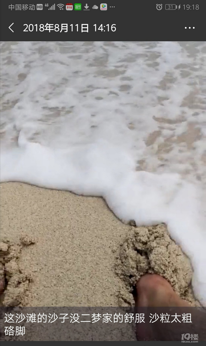 舟山有個花鳥島