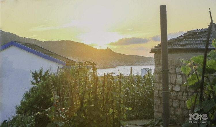 舟山有個花鳥島