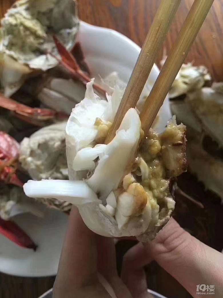 舟山有個花鳥島