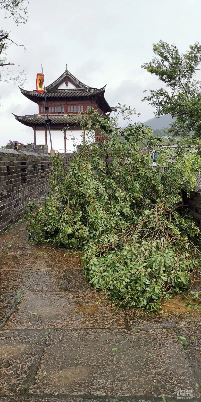 城门关闭,临海进入封城状态.-早知道-城事-杭州19楼
