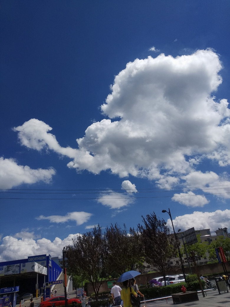 台风过去又是艳阳天