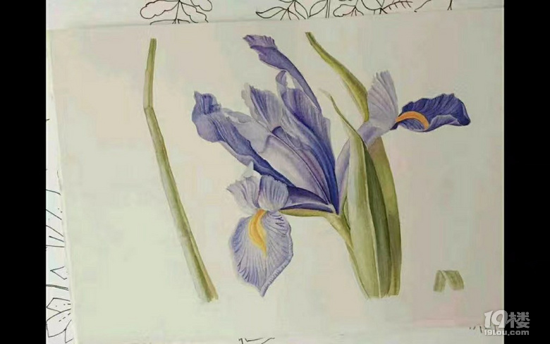 我媽逼我發(fā)個貼