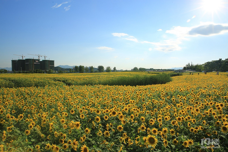 Hտ