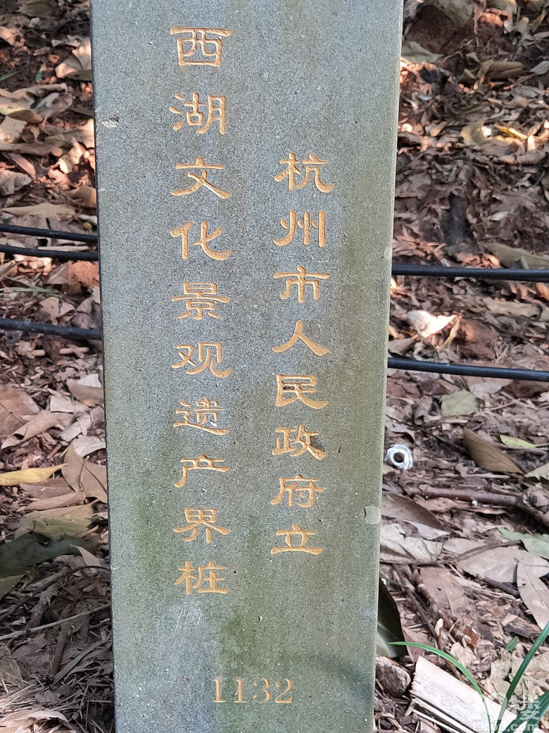 ·^