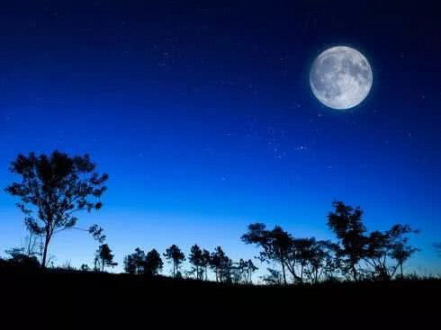 晚安曲 | 萨克斯曲《此情不移