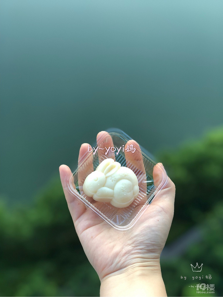 【月餅季】低脂冰皮月餅