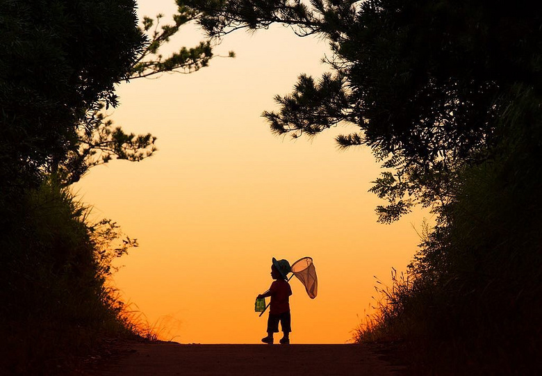 日本摄影师因儿子背影意外走红: 这才是我们向往的夏天!