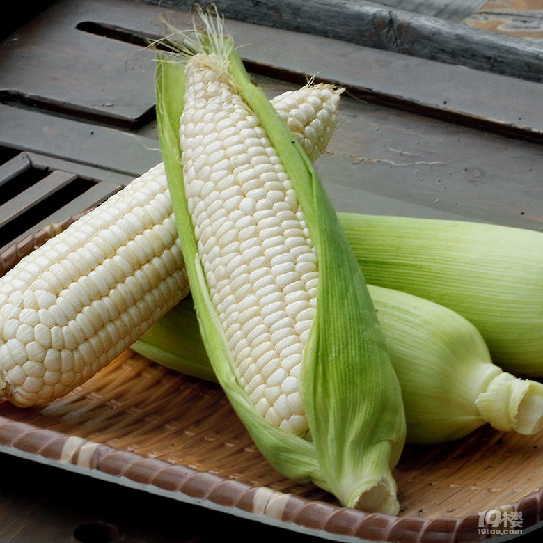 推荐高叶酸玉米,口感超出想象