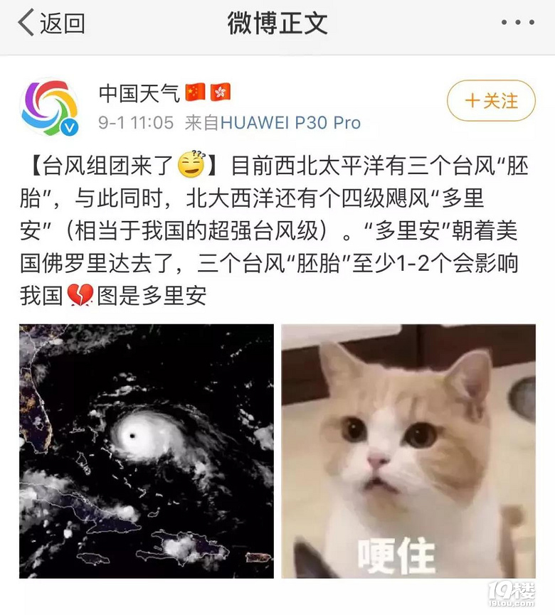 3台风组团出道?!明天或影响浙江!别忘了添衣带伞