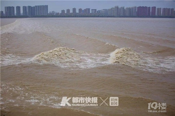比去年大!八月十八钱塘江大潮,凑到中秋节小长假!潮水表收好
