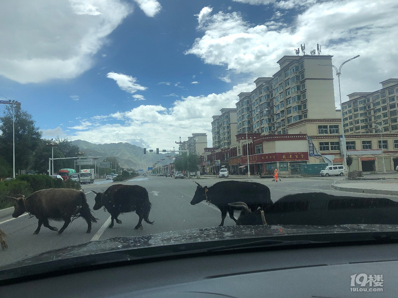 【穿越第三極】一臺車兩代人,踏千山跨萬水,探尋心中凈土(完)