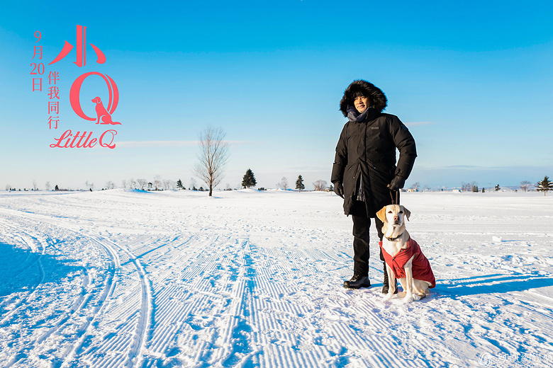 任达华与《小Q》9.20相伴归来 主题曲MV献最