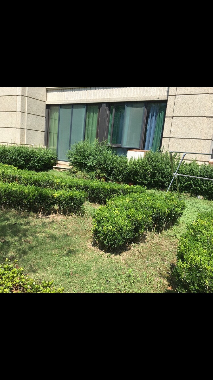 �������뻨԰��װ����