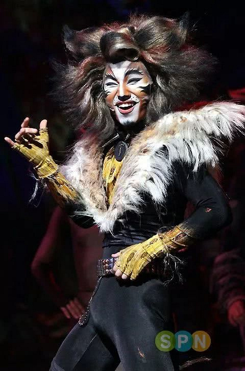这也太sexy了 !声儿音乐剧《cat》剧照