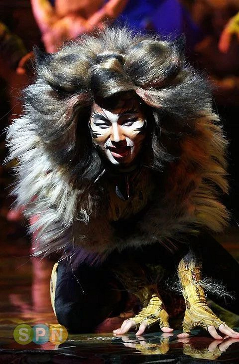 这也太sexy了 !声儿音乐剧《cat》剧照