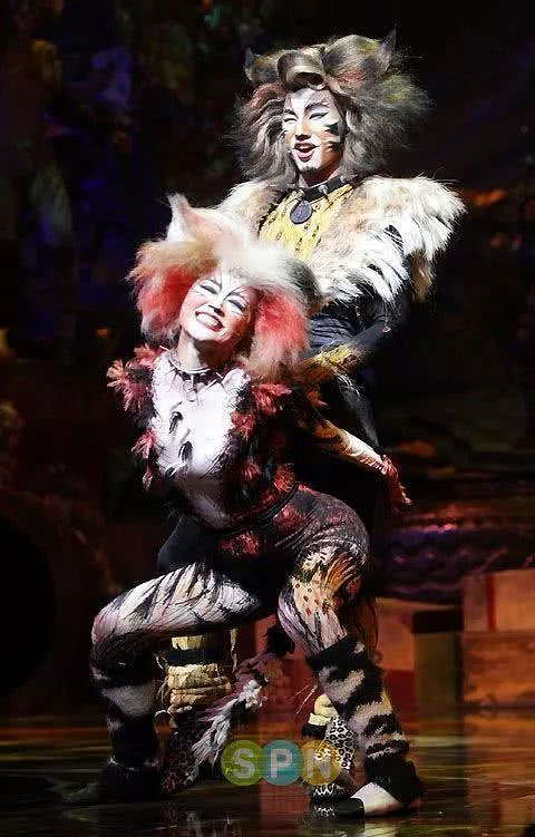 这也太sexy了 !声儿音乐剧《cat》剧照