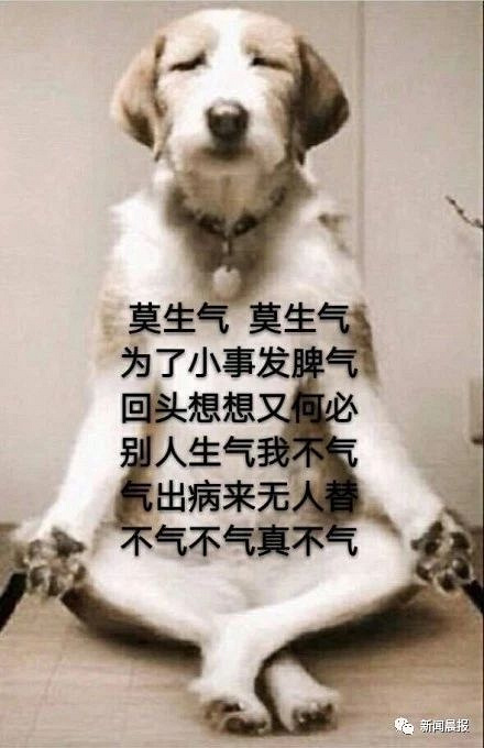 每天跟自己说一句:"不生气"! 下面给大家带来几