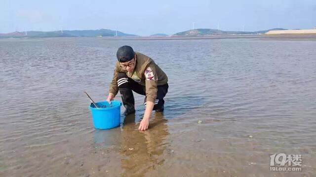 90后小伙拍赶海视频,月入20万!网友反思:我是