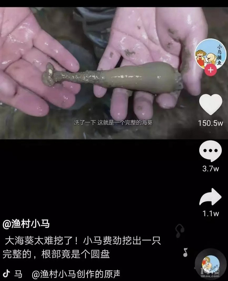 90后小伙拍赶海视频,月入20万!网友反