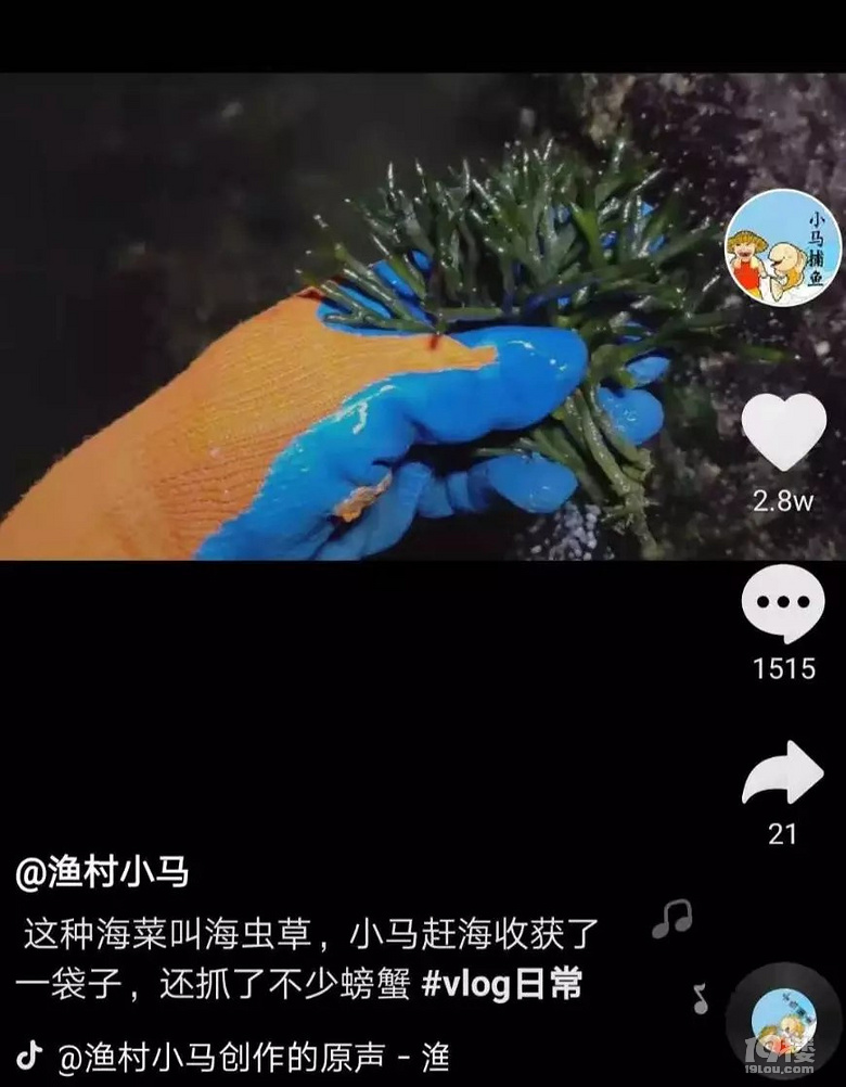 90后小伙拍赶海视频,月入20万!网友反