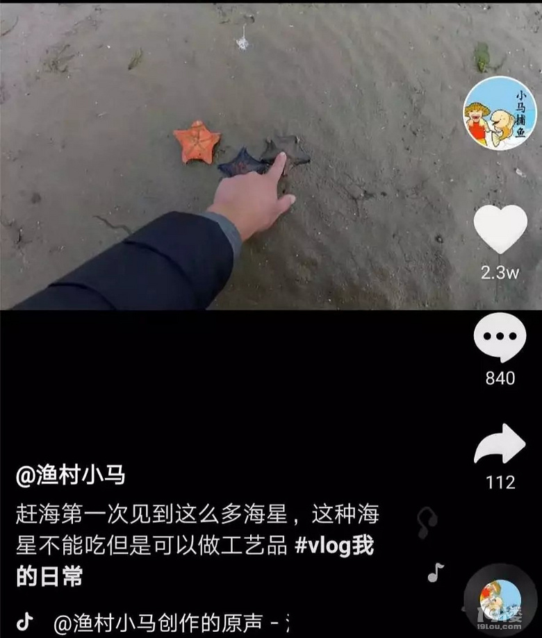 90后小伙拍赶海视频,月入20万!网友反