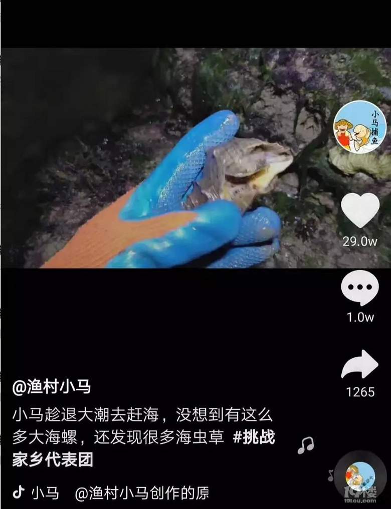 90后小伙拍赶海视频,月入20万!网友反