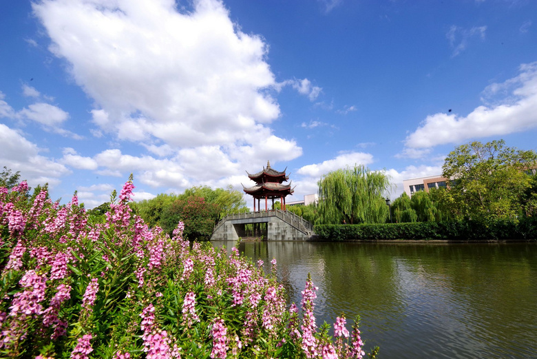 最美的萧山南江公园(摄于9月19号)