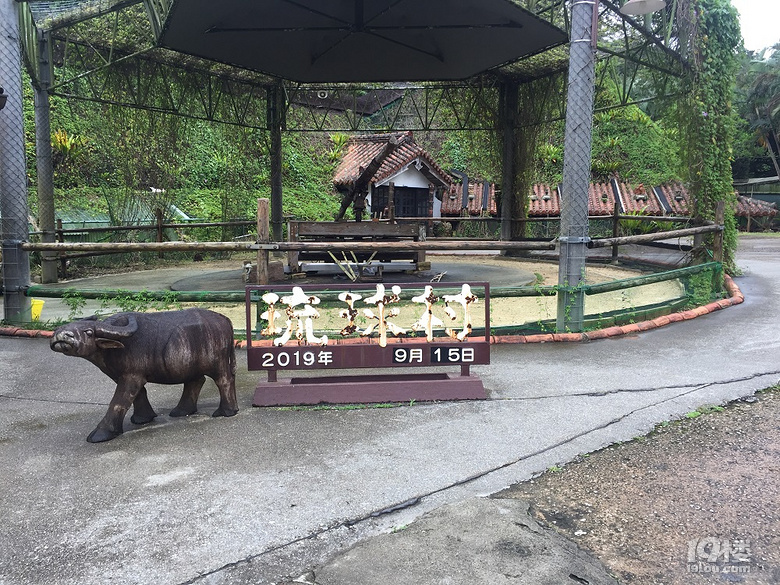 【秋游迹】2019中秋~去追逐那一片冲绳蓝（4天3晚冲绳闺蜜游）