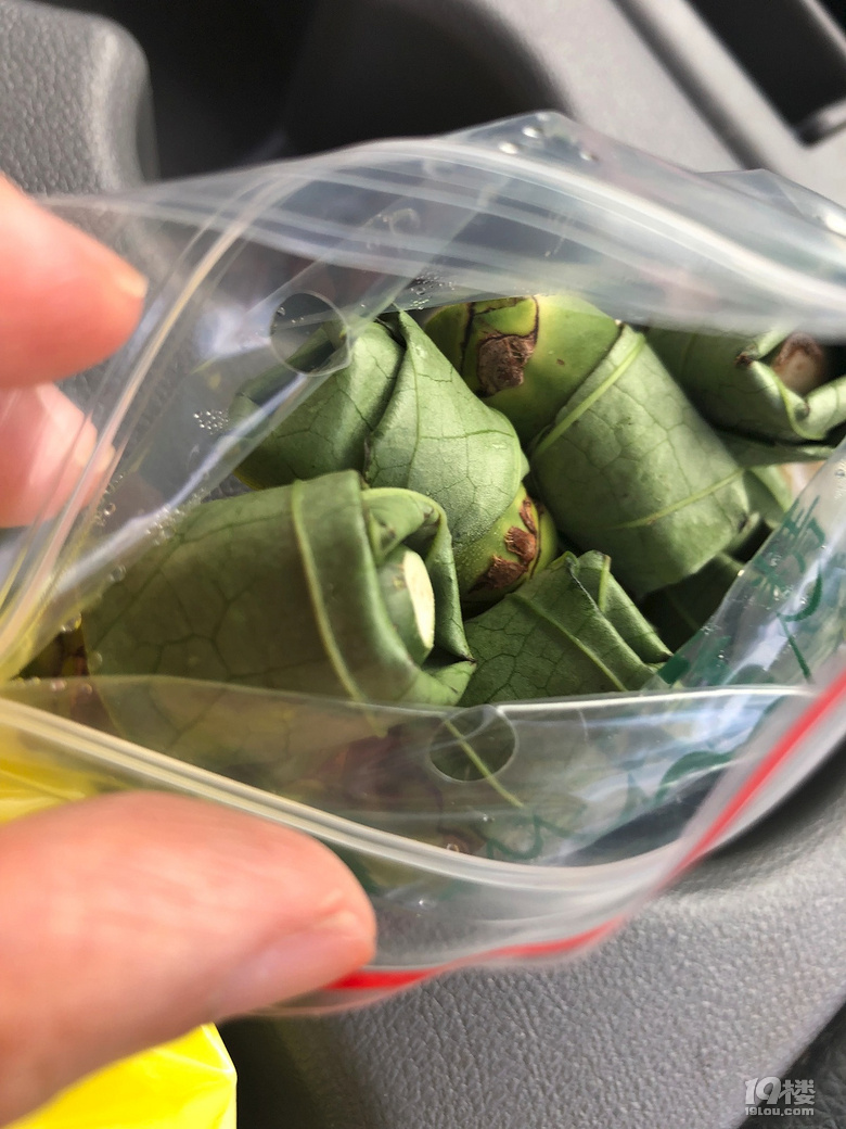 【秋游迹】限签后的8月台湾游记