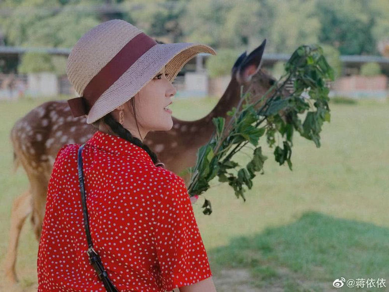 王俊凯蒋依依在一起了?网友列出撒糖细节,知