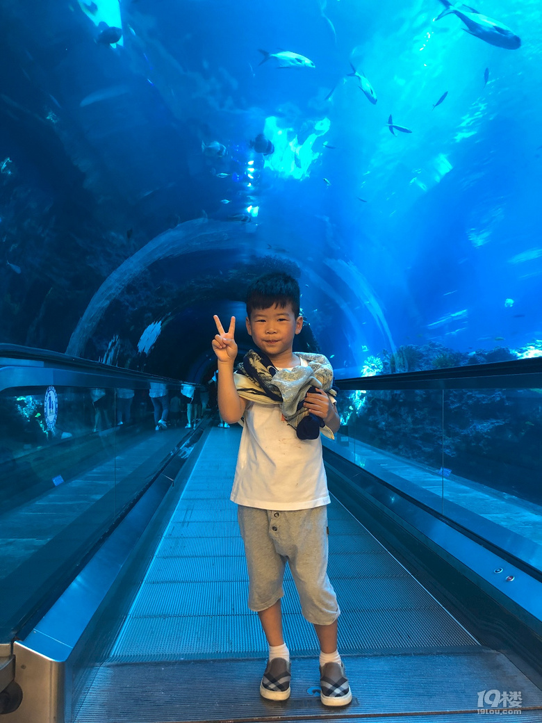 【秋游迹】限签后的8月台湾游记