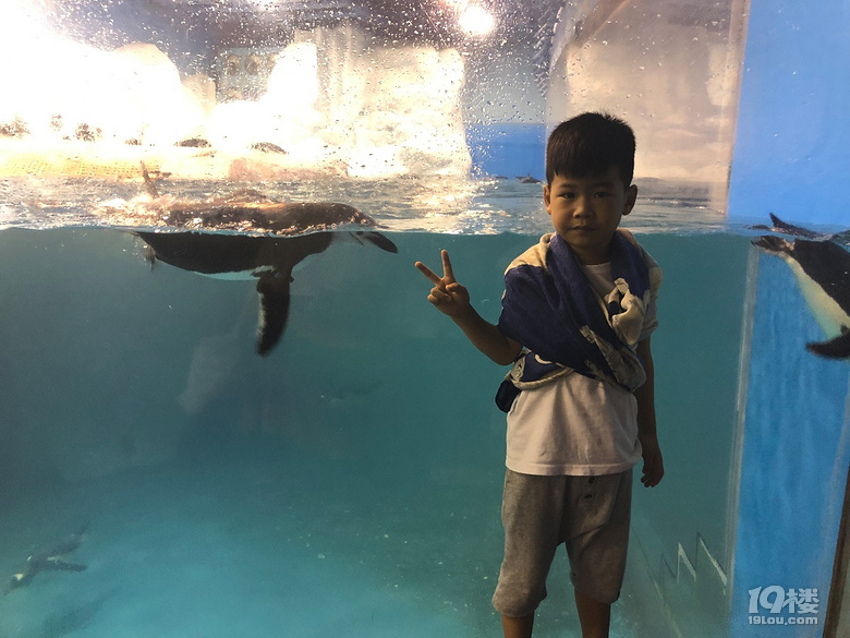 【秋游迹】限签后的8月台湾游记