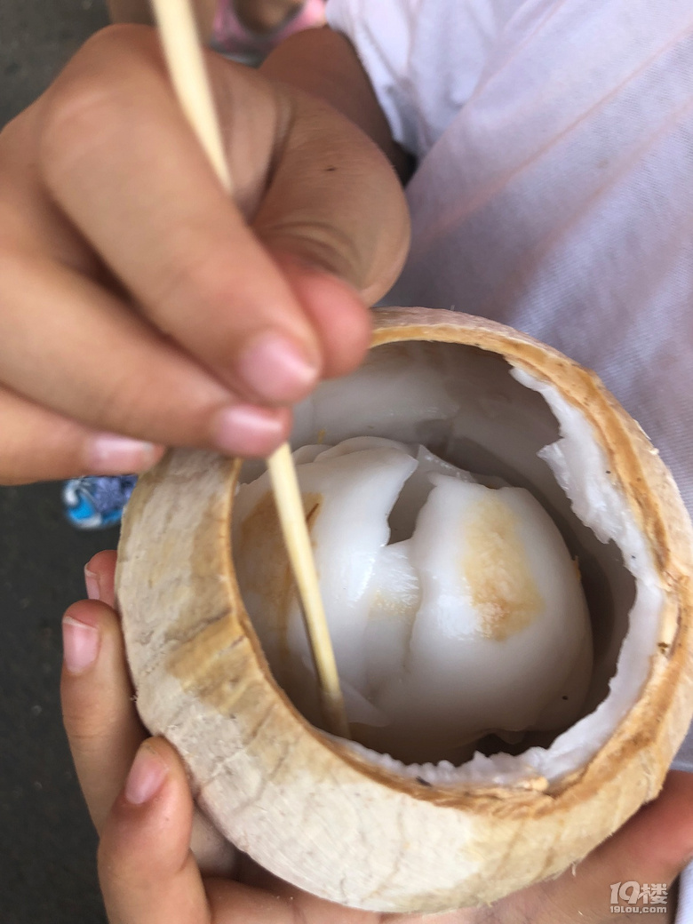 【秋游迹】限签后的8月台湾游记