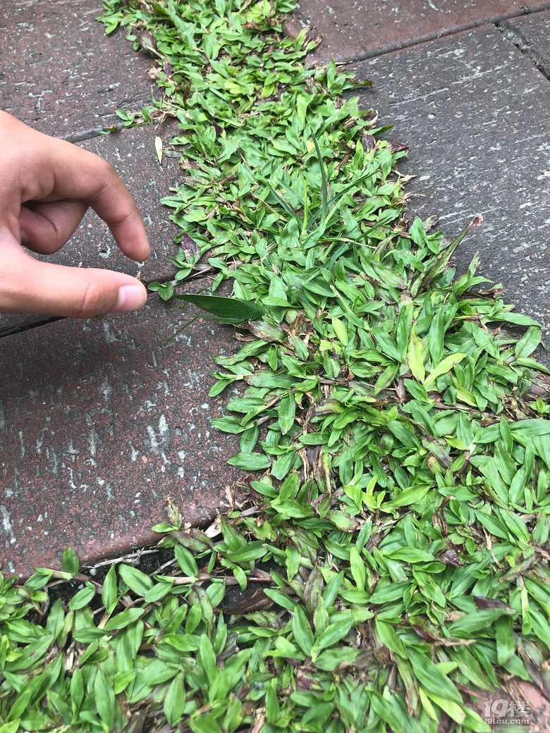 【秋游迹】限签后的8月台湾游记