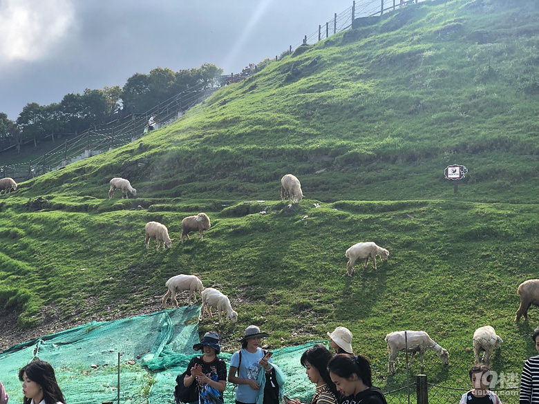 【秋游迹】限签后的8月台湾游记