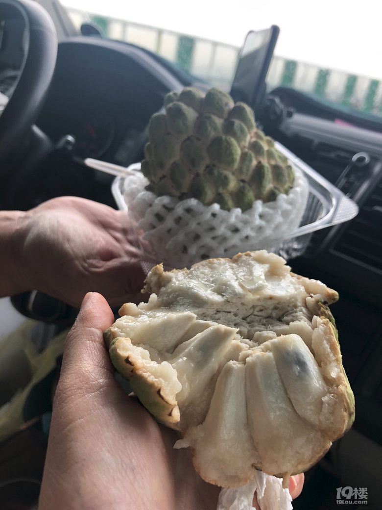 【秋游迹】限签后的8月台湾游记