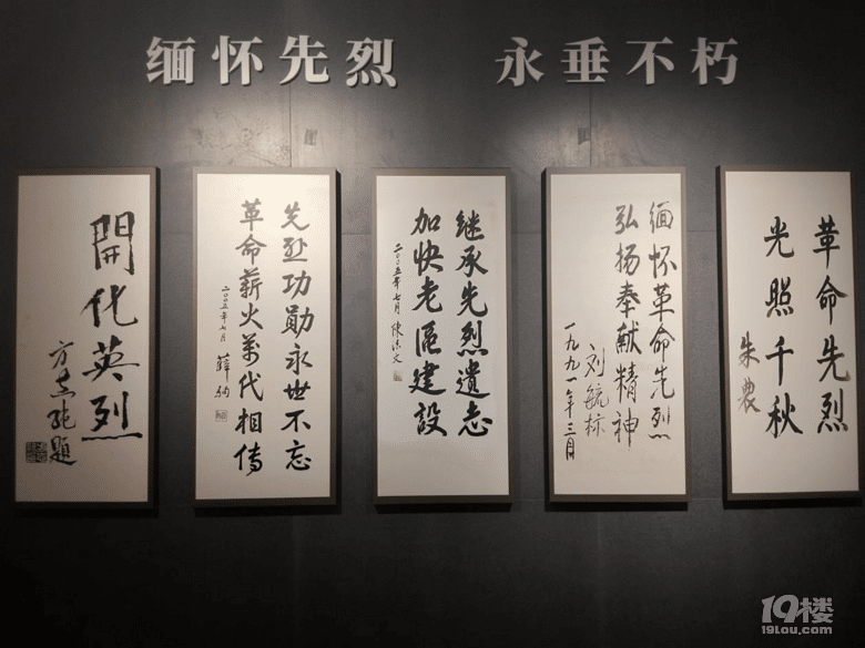 开化旅游——感受玉屏公园大自然的美好