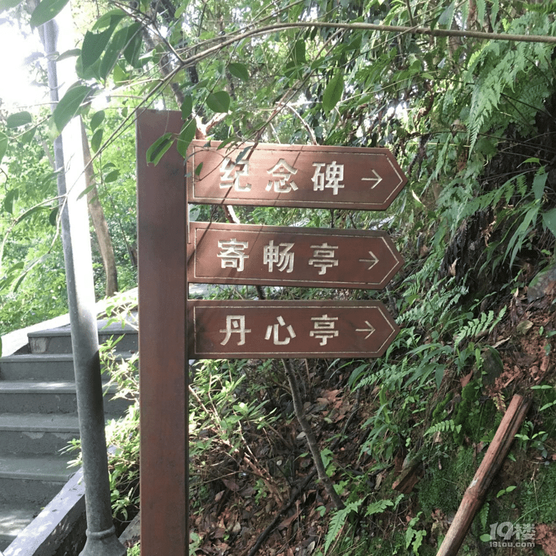 开化旅游——感受玉屏公园大自然的美好