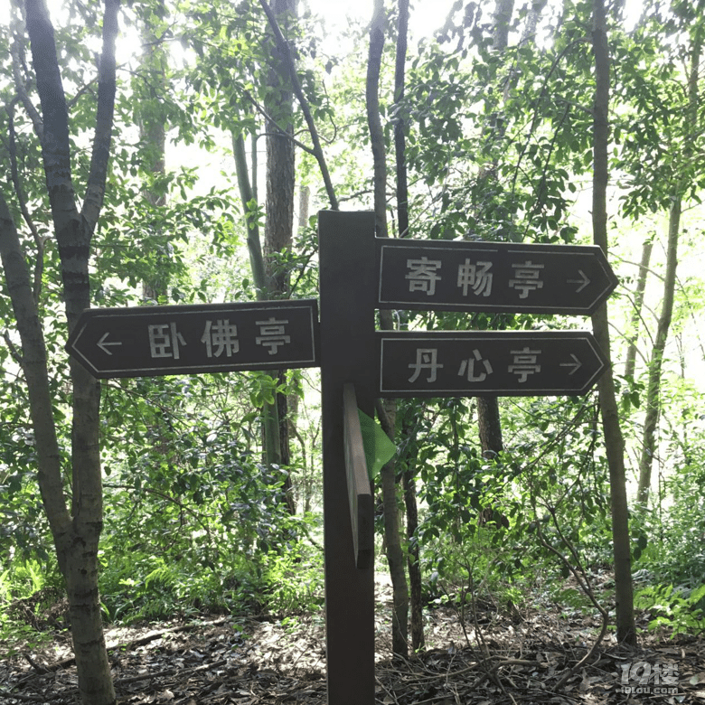 开化旅游——感受玉屏公园大自然的美好