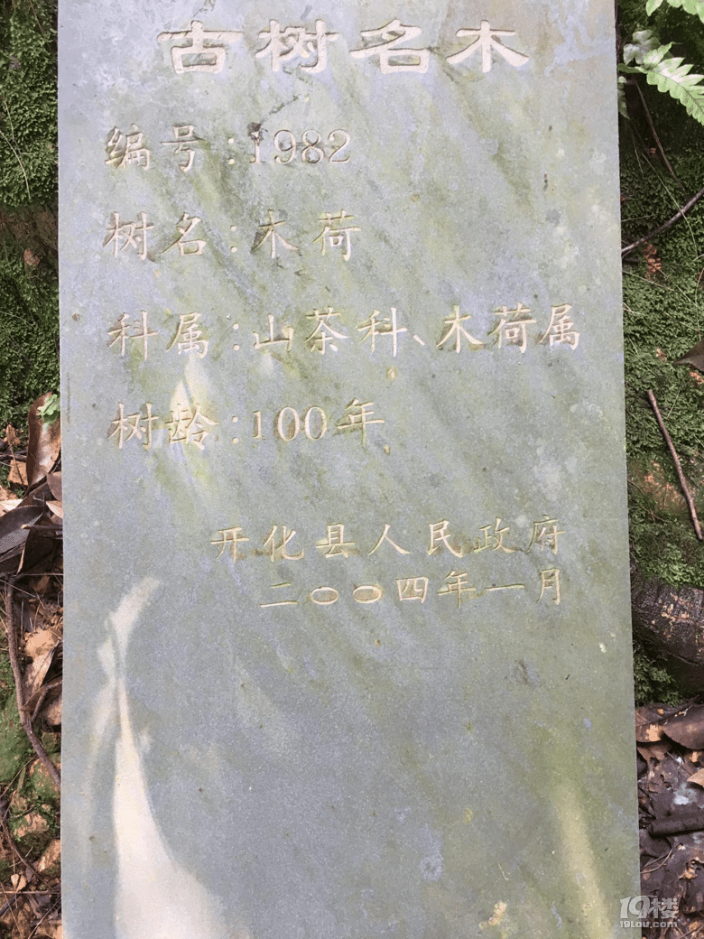 开化旅游——感受玉屏公园大自然的美好