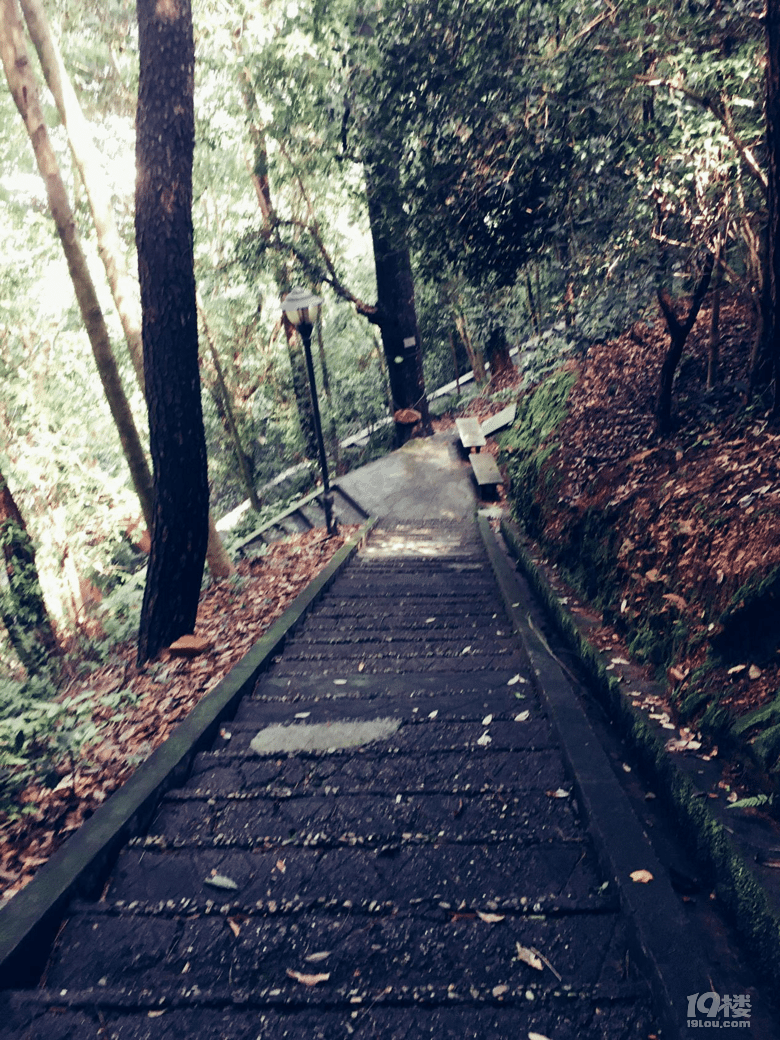 开化旅游——感受玉屏公园大自然的美好